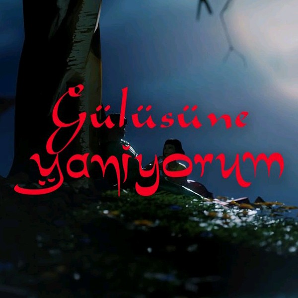 Amo988 - Gülüşüne Yanıyorum (Turk) kapak görseli